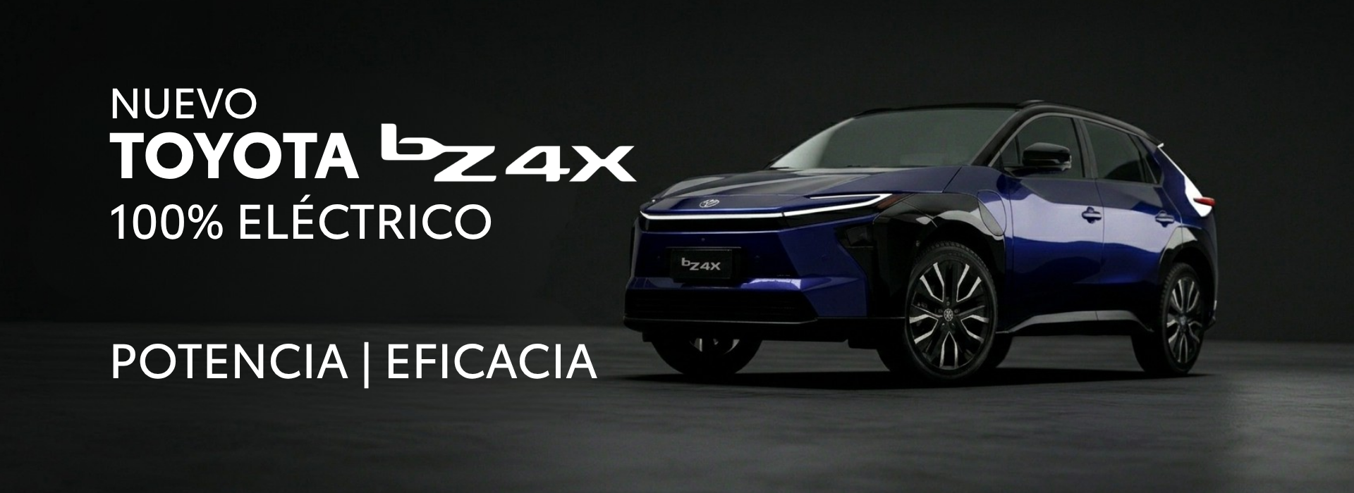 Banner Autos del Sur